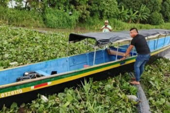 Pescadores abriendo vías en el complejo lagunar de Pajarales en Magdalena, Colombia
