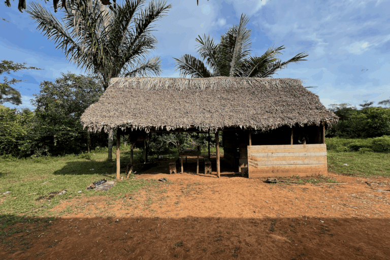La casa de los pacahuaras construida con los recursos que da el bosque amazónico. Foto: Karina Segovia.