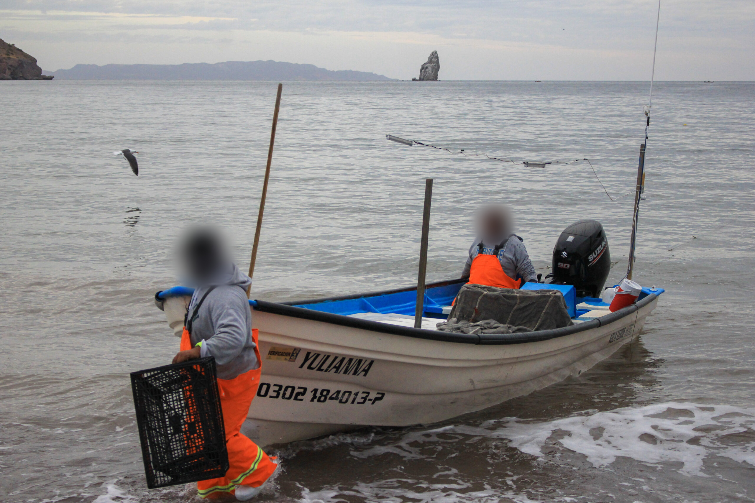 En los últimos siete años, 9 113 448 pesos (un equivalente a 500 000 dólares) en multas a pescadores quedaron sin efecto. Foto: Daniela Reyes