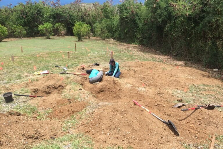 Científicos excavan para encontrar nidos de iguana verde. Foto: cortesía de Carlos Andrés Rodríguez
