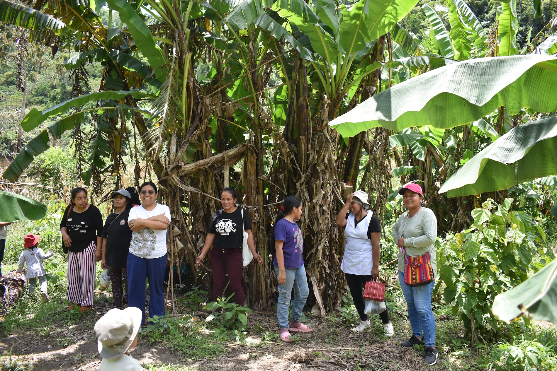 Rescate de papa magona - Gabriela Loaiza Seri - Perú - Pueblos indígenas - Machinguenga