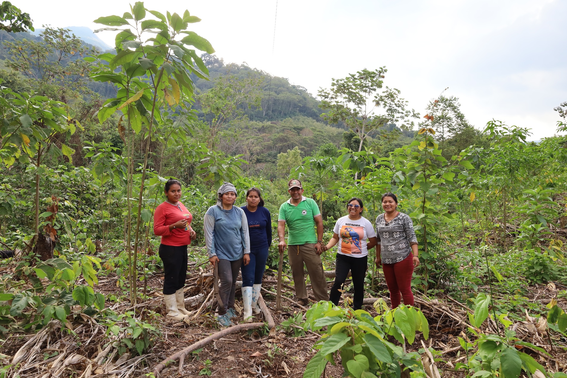 Rescate de papa magona - Gabriela Loaiza Seri - Perú - Pueblos indígenas - Machinguenga