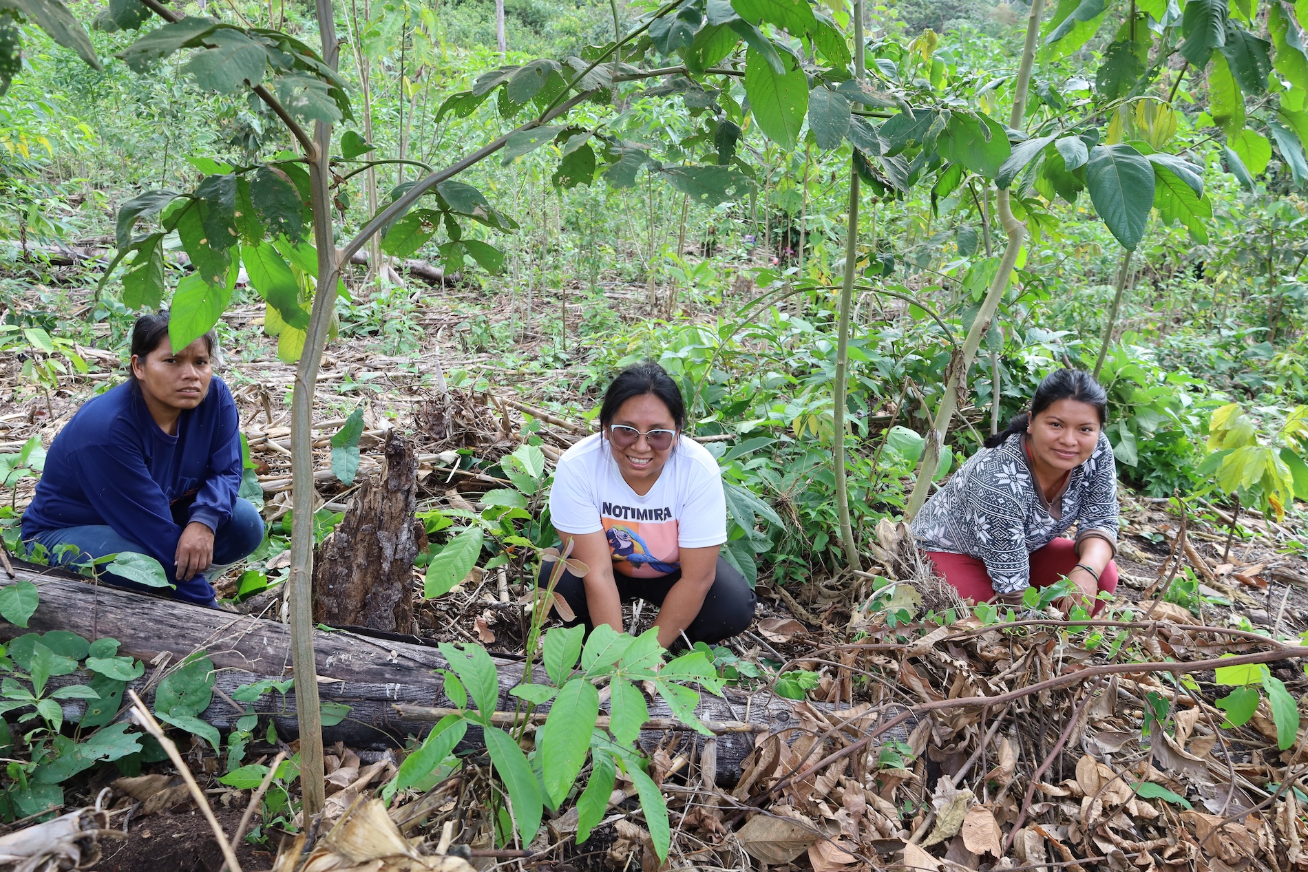 Rescate de papa magona - Gabriela Loaiza Seri - Perú - Pueblos indígenas - Machinguenga