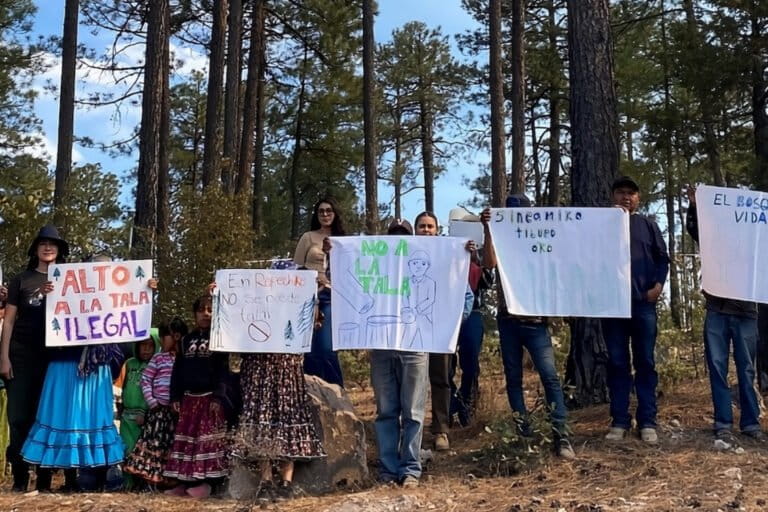 Habitantes de comunidades indígenas de Chihuahua protestan contra la tala ilegal de sus bosques