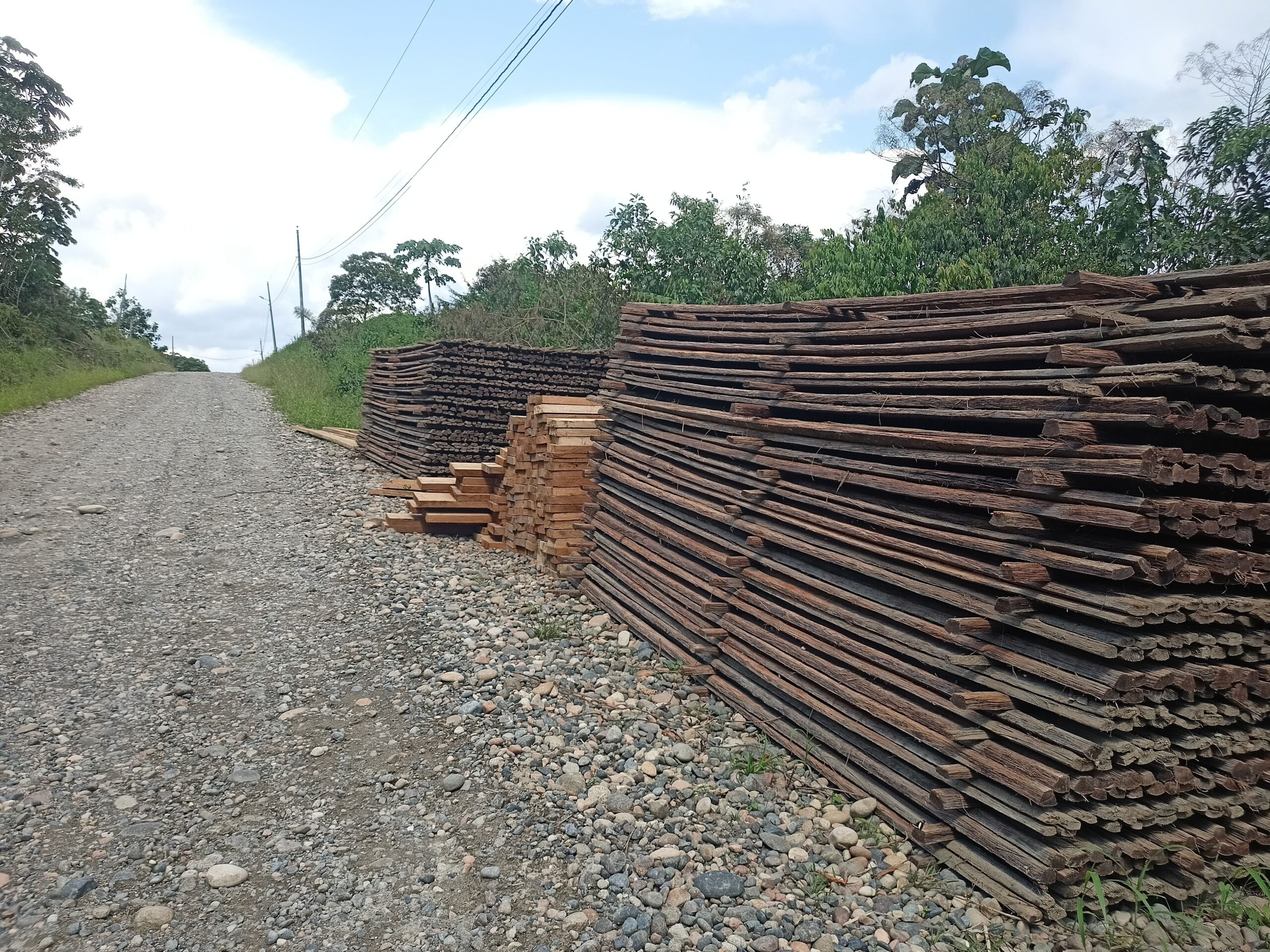 Tala y transformación de árboles maderables en la ruta comprendida entre la provincia de Sucumbíos y la provincia de Napo. La madera al borde de la carretera fue identificada en el territorio indígena cofán. Foto: Diego Cazar Baquero