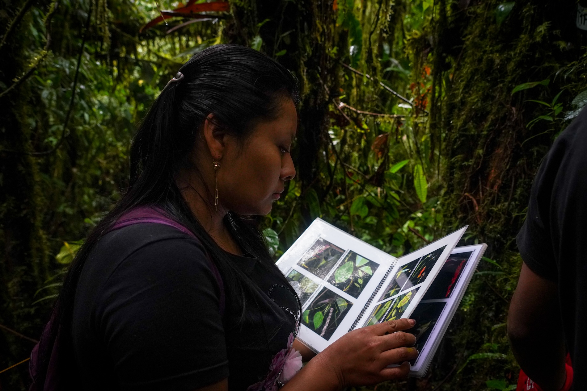Investigadores awá - Colombia - Reserva La Planada