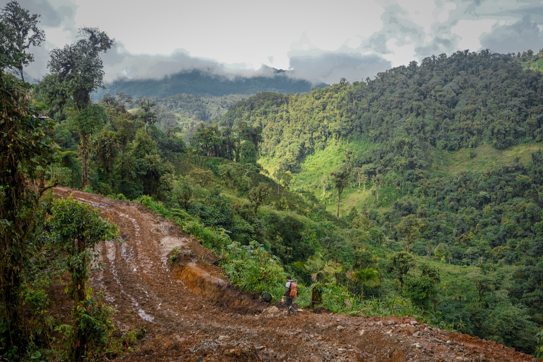 Investigadores awá - Colombia - Reserva La Planada