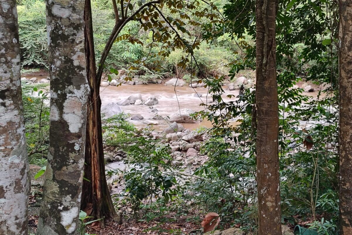 El río Maracas bordea la comunidad Misión Sokorpa pero los peces prácticamente han desaparecido. Foto: Antonio Paz Cardona
