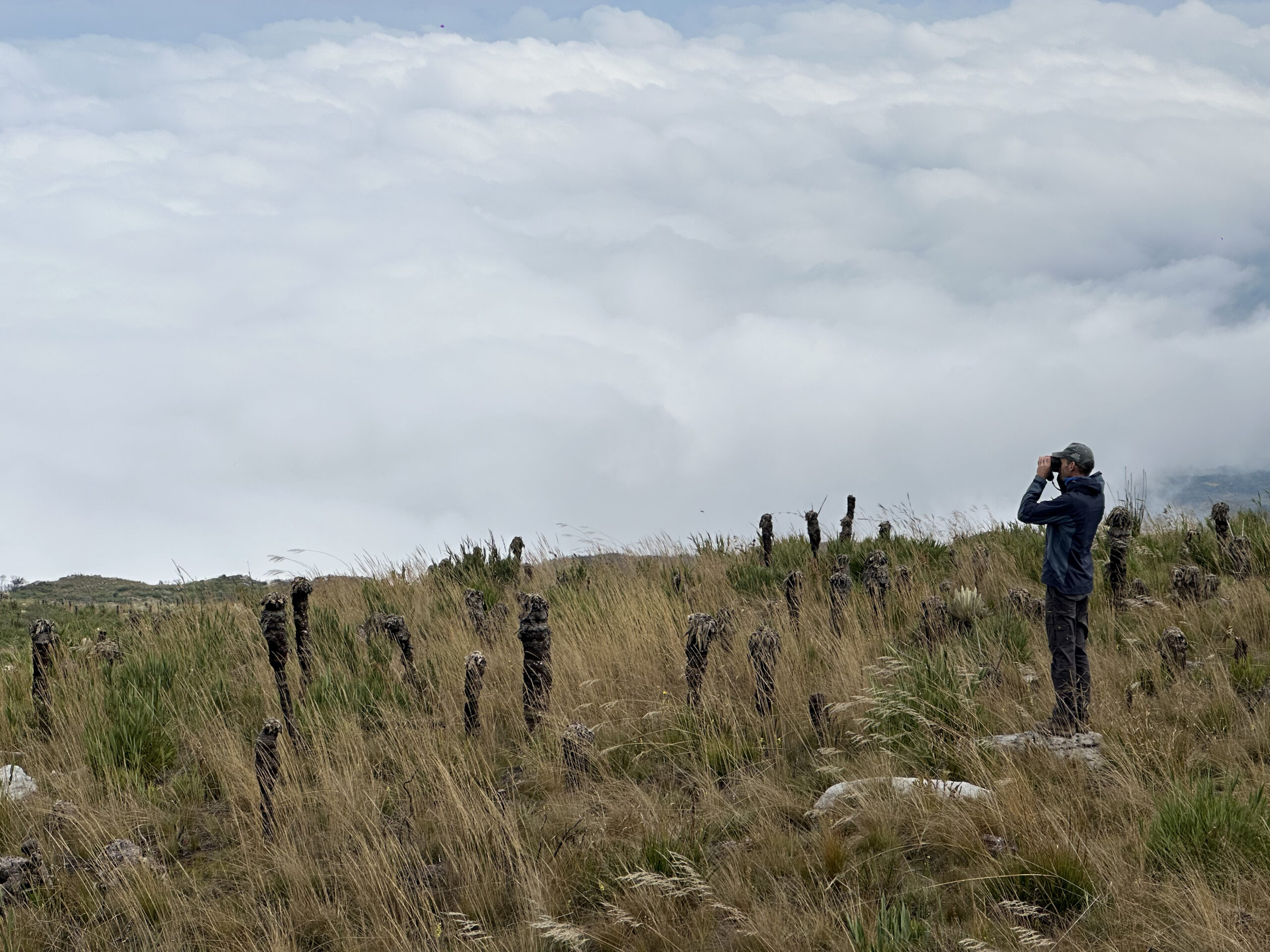 El profesor Björn Reu durante una nueva jornada de captura de imágenes con dron. Foto: Alejandra López
