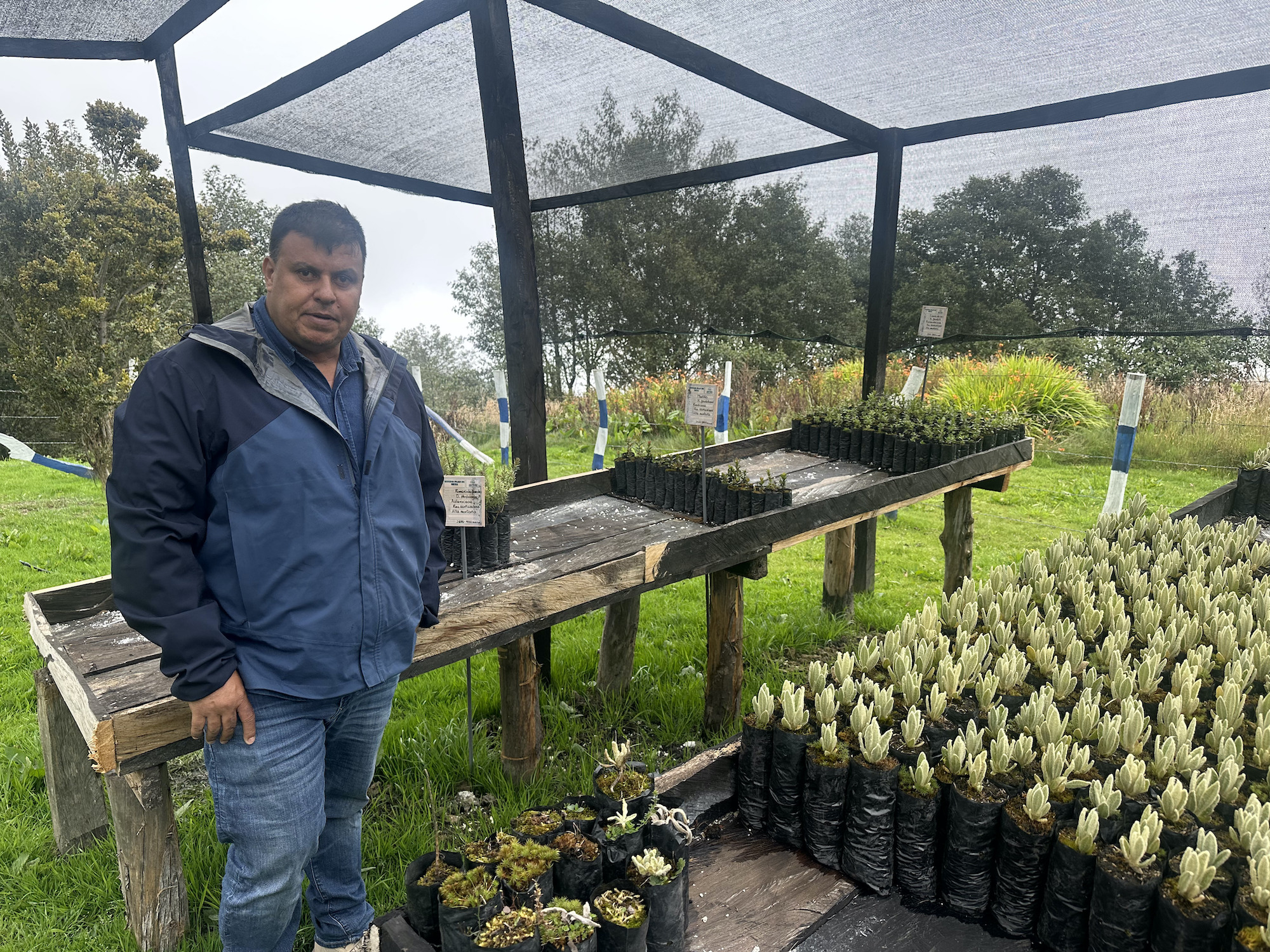 El ingeniero forestal del Acueducto Metropolitano de Bucaramanga (AMB), Javier Leal, en el Vivero Plan de Mesa. Foto: Alejandra López