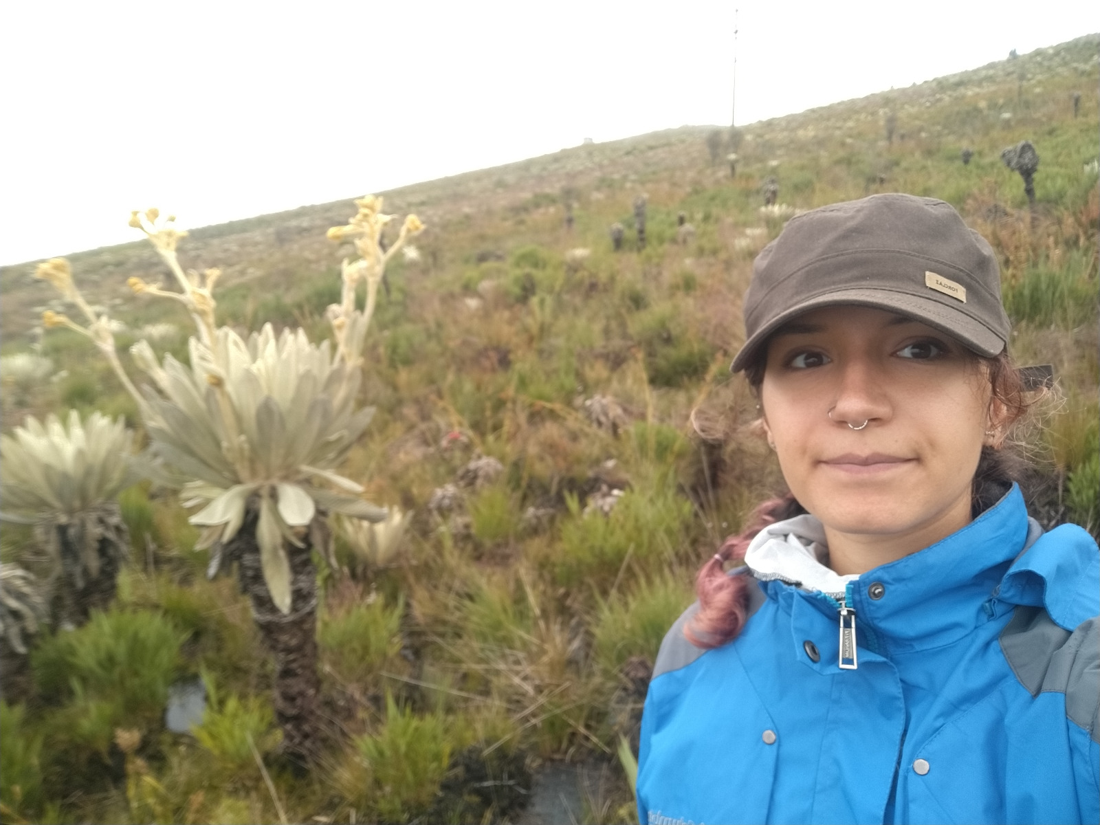 La investigadora Paula Uzcátegui en una de sus visitas al páramo de Berlín. Foto: Cortesía de Paula Uzcátegui.