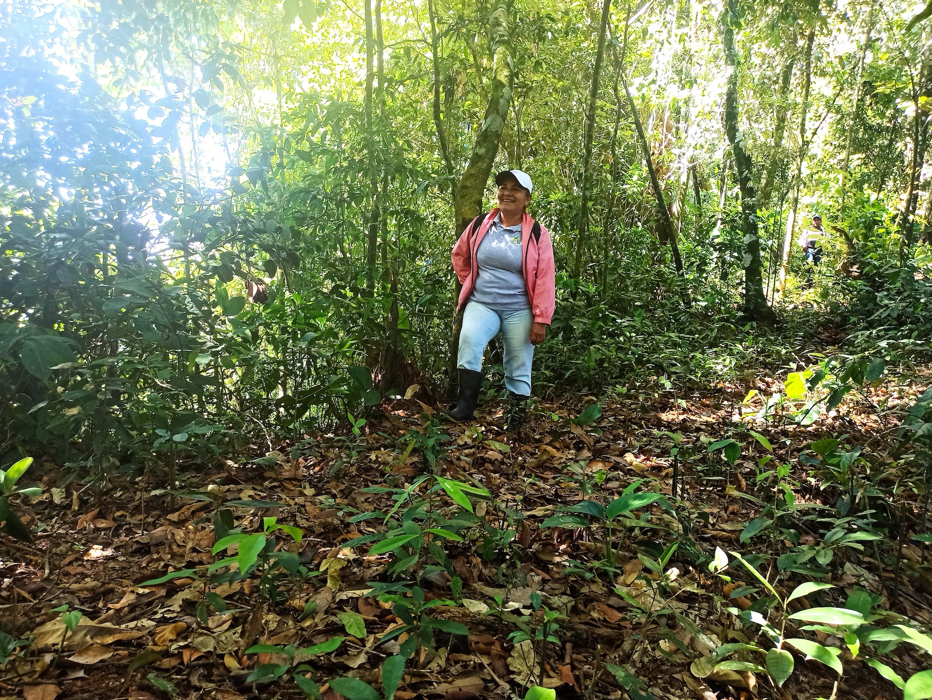 Monitoras chinantecas - Oaxaca - México