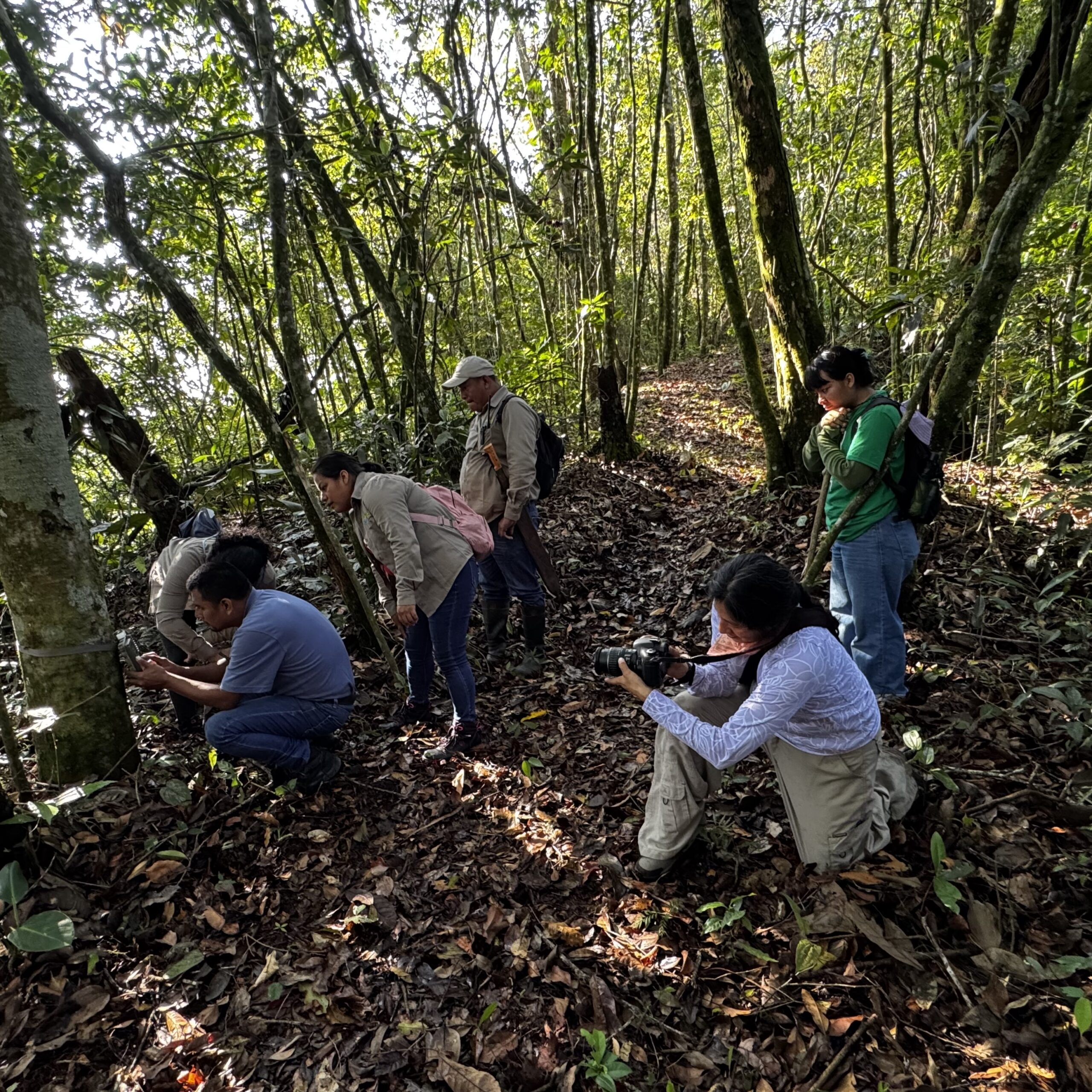 Monitoras chinantecas - Oaxaca - México
