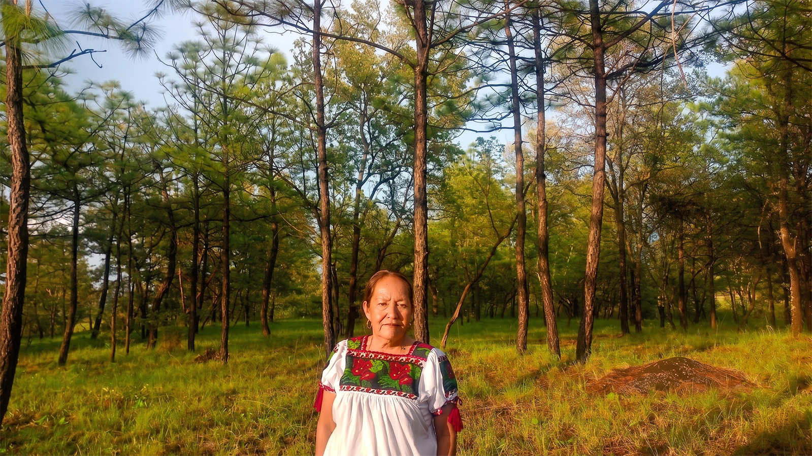 María Filomena Ríos - Ocumicho - Michoacán - México