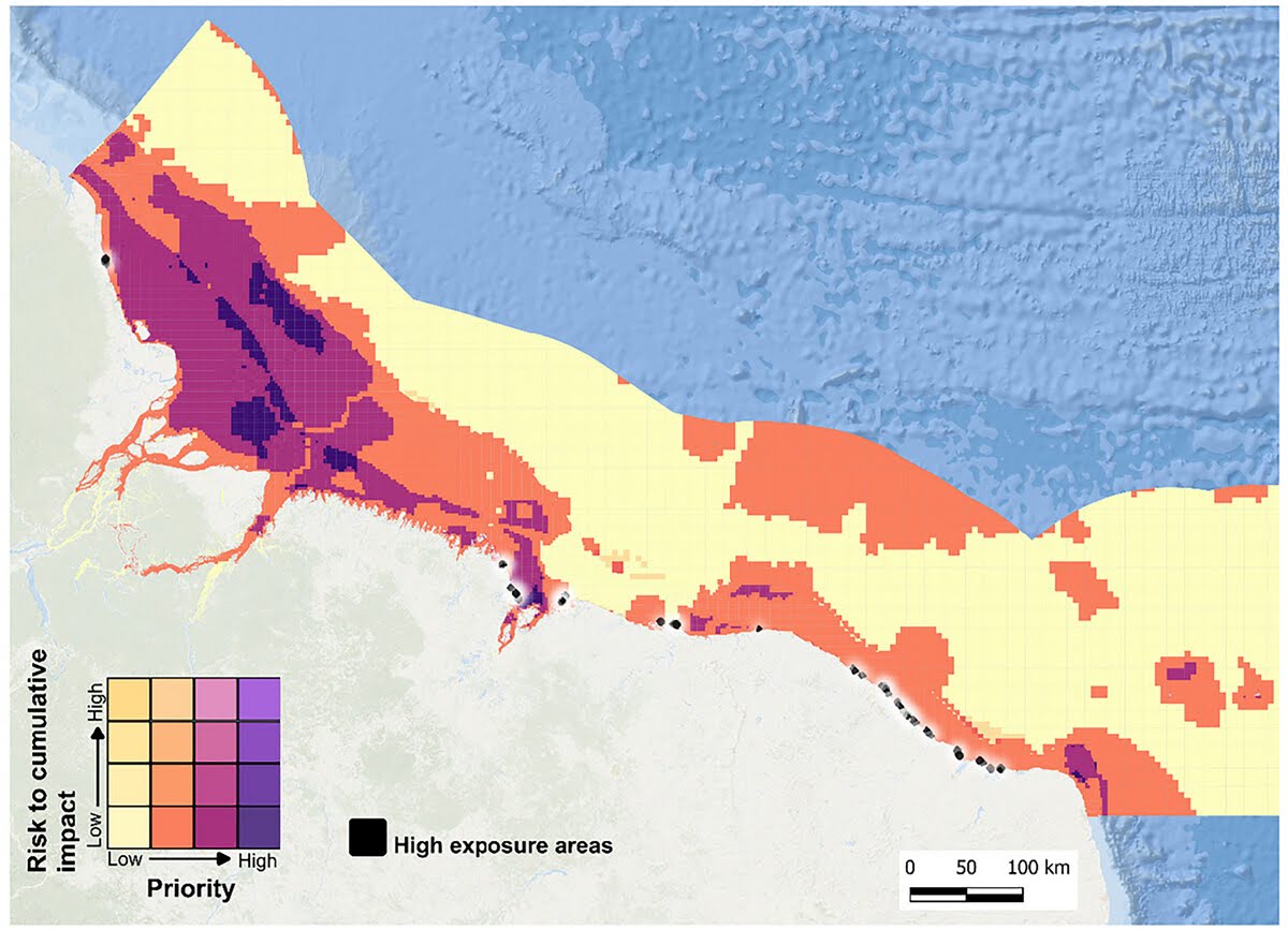 Los investigadores utilizaron tanto la probabilidad de que un derrame afectara una zona («riesgo acumulativo») como los hábitats de esa zona («prioridad») para identificar las áreas más amenazadas por daños ambientales: coloreadas en negro. Imagen cortesía de Rafael A. Magris, Martinho Marta-Almeida y Carlos Alessandre Domingos Lentini.