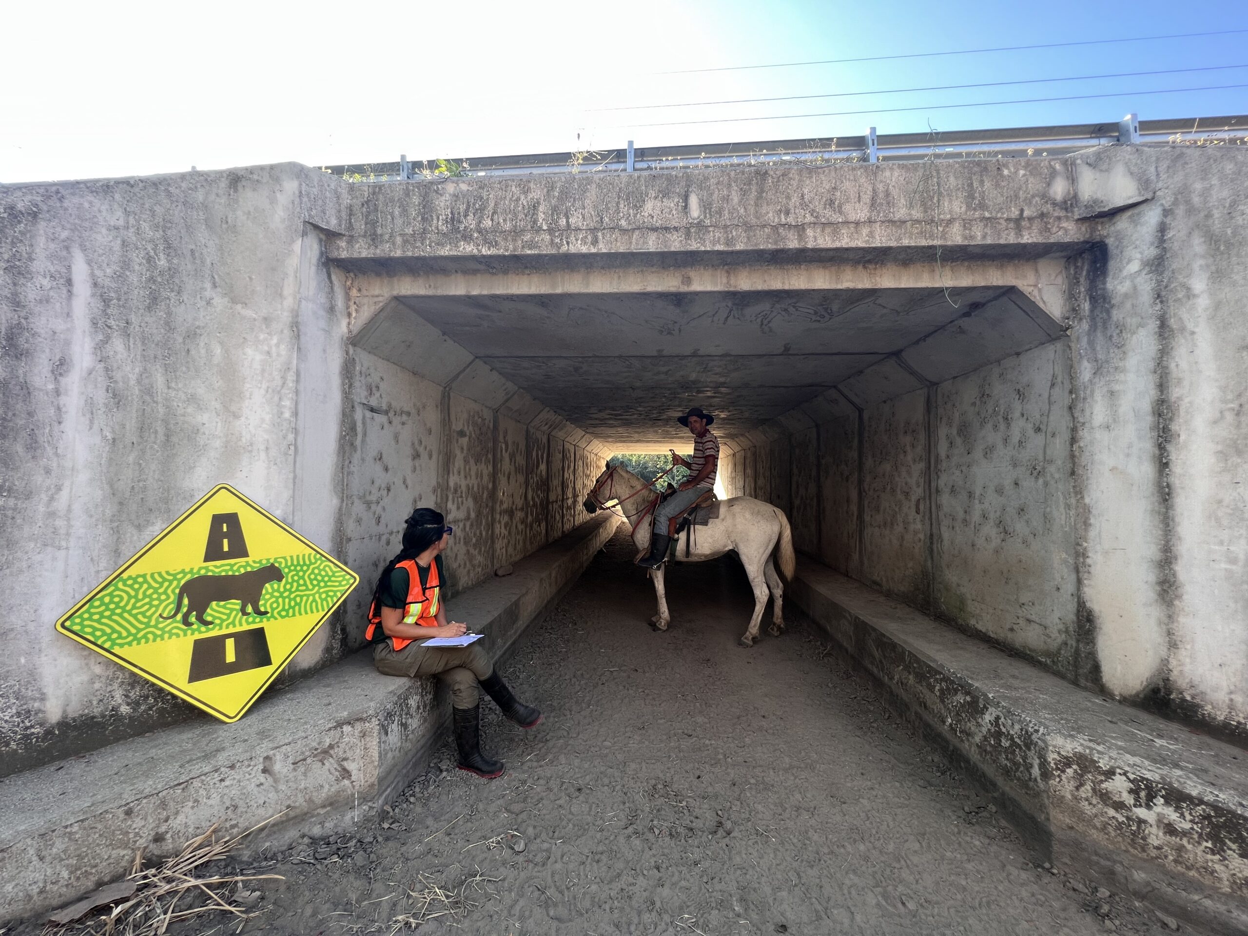 Pasos de fauna - Carreteras - Costa Rica