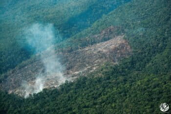 Colombia: la guerra entre “Calarcá” y “Mordisco” que desangra al Parque Nacional Chiribiquete