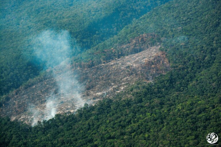 Colombia: la guerra entre “Calarcá” y “Mordisco” que desangra al Parque Nacional Chiribiquete