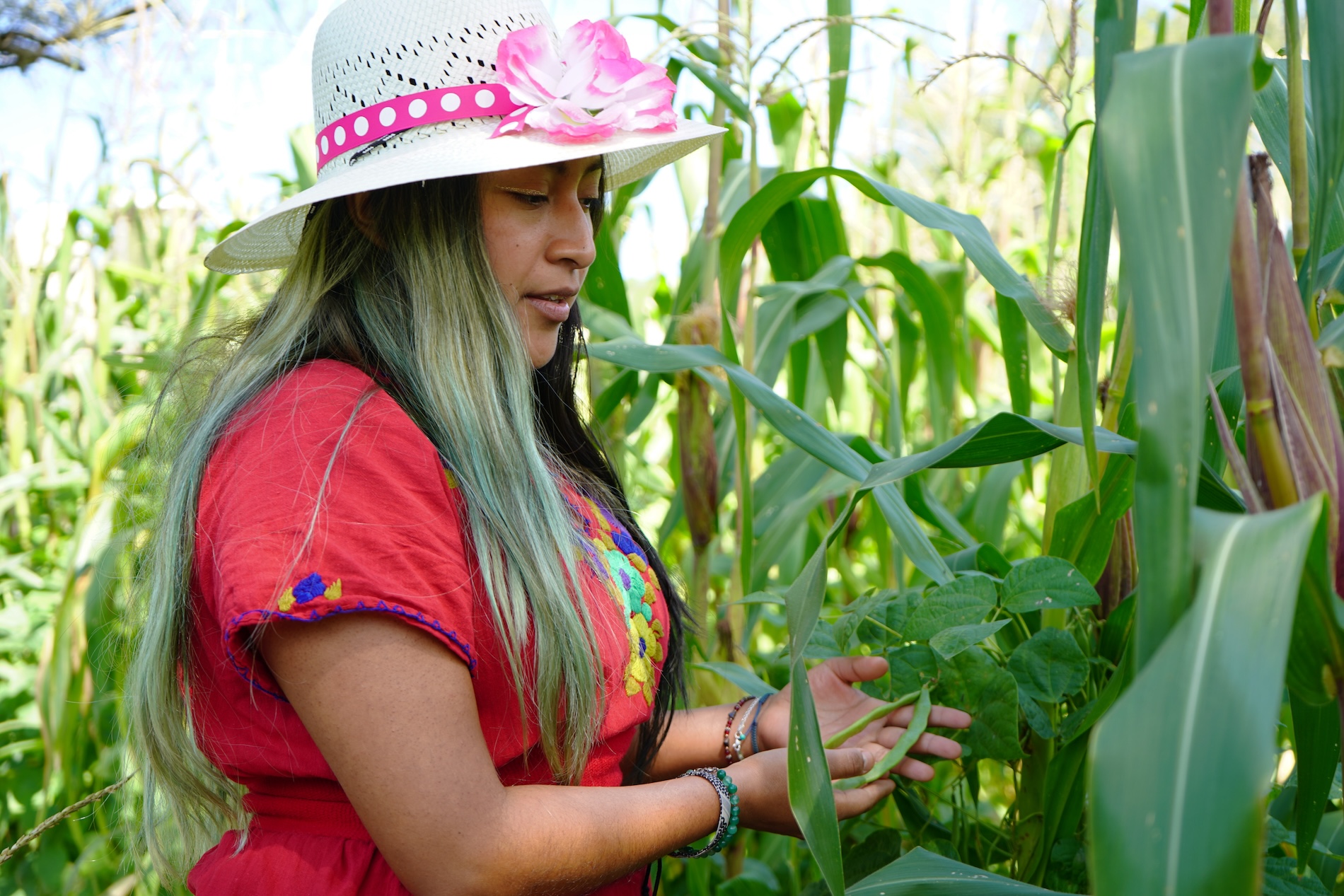 Día Internacional de las Mujeres Indígenas - 2026 - México - Colombia - Perú