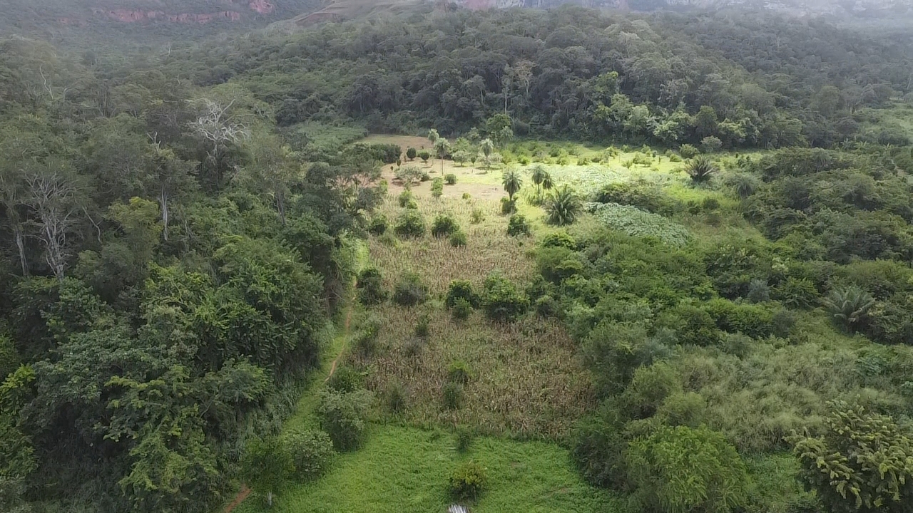 Ciencia comunitaria protege Chiquitania