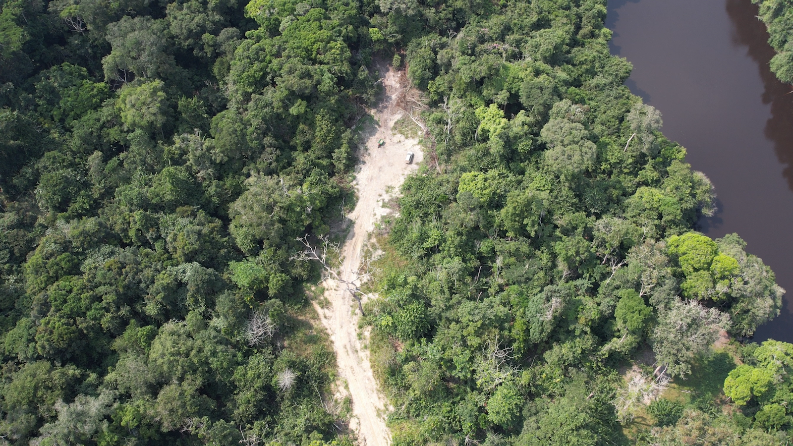 Road built into intact forest by TBNI forestry company near the Liboumba River, Gabon. Image courtesy Ivindo FM.