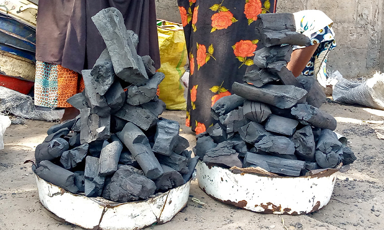 Du charbon de bois commercialisé par des femmes dans les marchés de N’Djaména. 