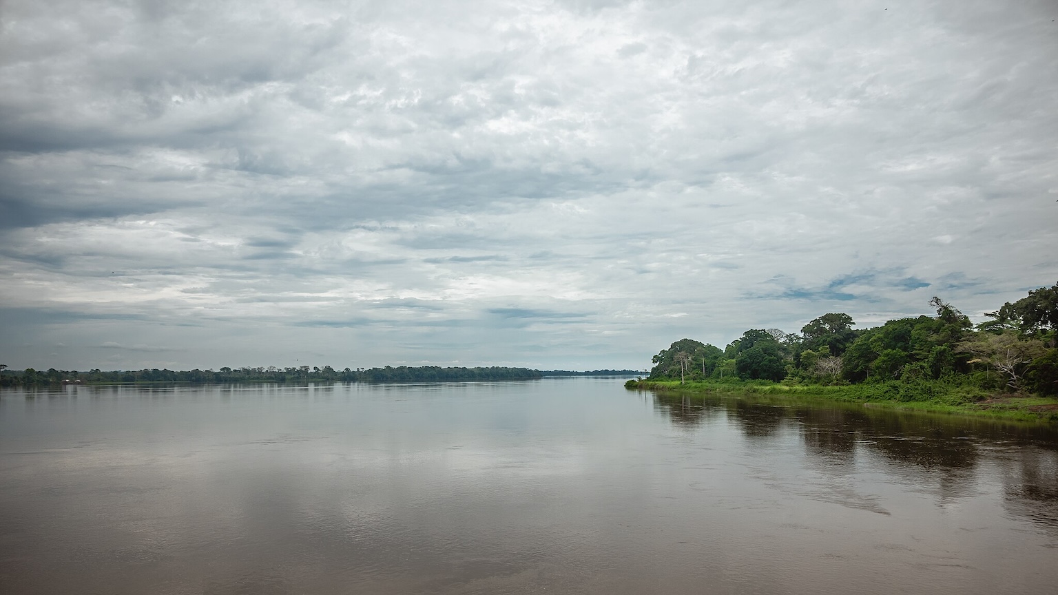 Le Nyong a un potentiel hydrologique important. En tant que zone humide, sa disparition serait préjudiciable à la biodiversité. Image de Sidoine Mbogni via Wikimedia.