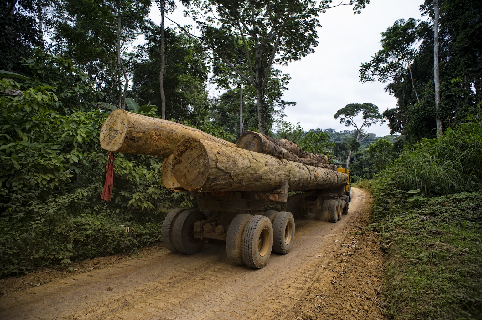 Camion de bois pour la Société Fabrique Camerounaise de Paquets (FIPCAM) près du village de Ngon. District d'Ebolowa, au Cameroun. Image de CIFOR-ICRAF via Flickr (CC BY-NC-ND 2.0).