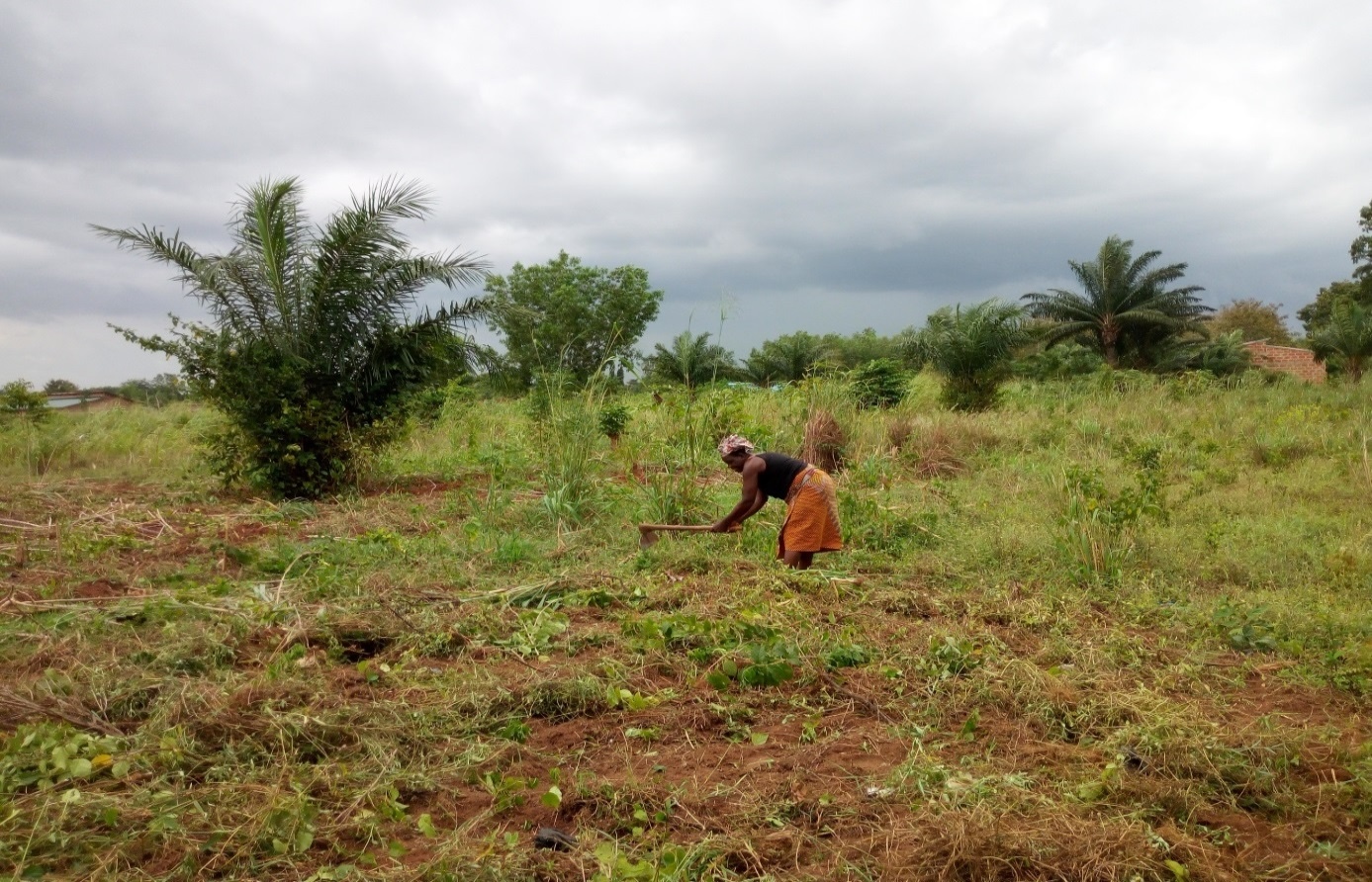 Célestine Hounkanrin défrichant son champ à Tori-Gare, au sud du Bénin. Image de Ange Banouwin pour Mongabay.