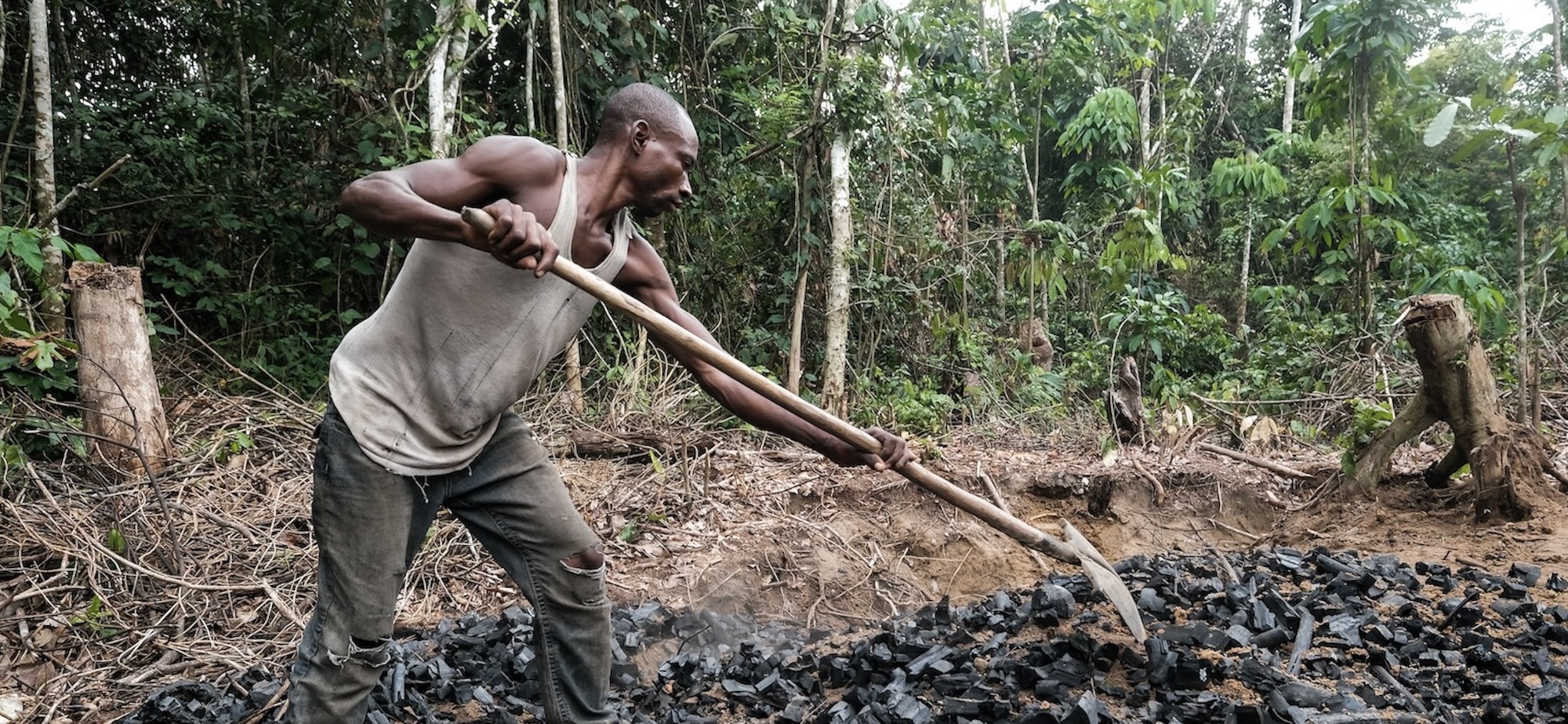 Les groupes armés se servent de la vente de charbon de bois pour financer leurs activités. Image de Axel Fassio/CIFOR-ICRAF via Flickr (CC BY-NC-ND 2.0).