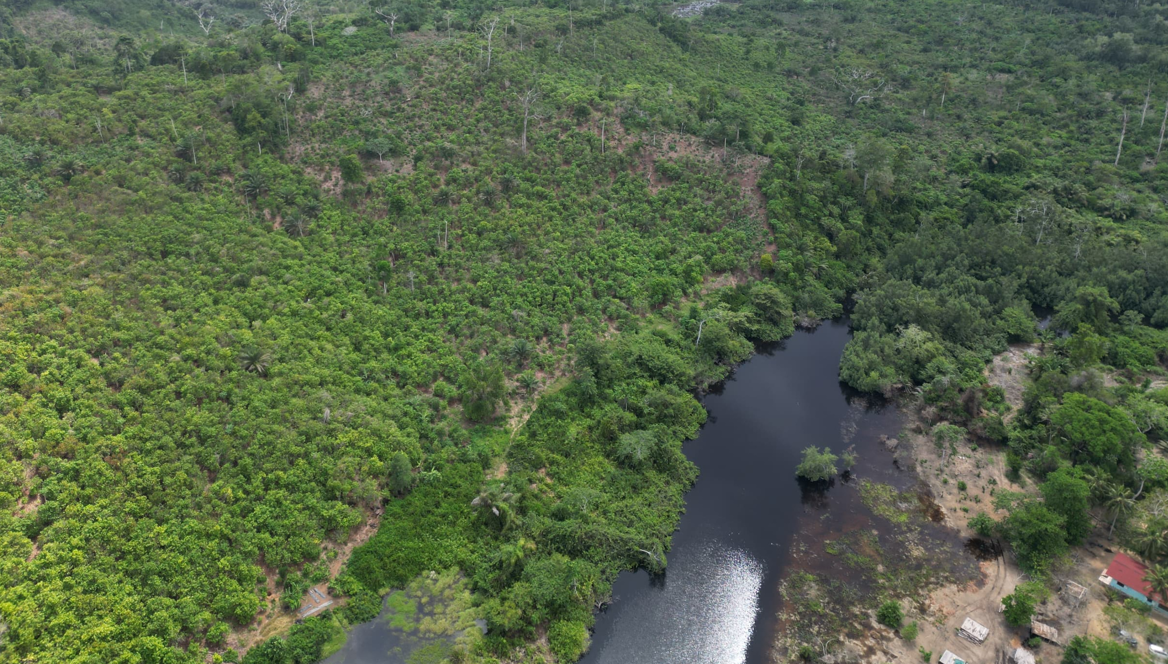 Vue aérienne d'une étendue de canopée verte et d'une partie d'un lagune dans la forêt de Monogaga. Image reproduite avec l’aimable autorisation de Bilal Hallal/Roots Wild Foundation.