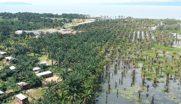 Vue aérienne d'une petite partie des plantations inondées à Rumonge, situées le long du lac Tanganyika ? à cause de la montée des eaux de ce même lac. Image de Séverin Niyongabo, photographe à l'O.H.P fournie par Dieudonné Ndanezerewe.