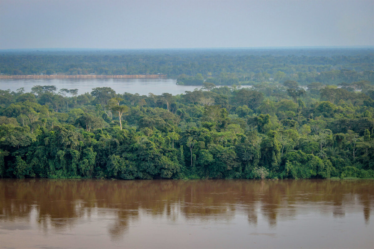 Les experts proposent de protéger la biodiversité et de préserver les forêts pour faire face aux éventuels risques climatiques en Afrique centrale. Image de Ahtziri Gonzalez/CIFOR via Flickr (CC BY-NC-ND 2.0).
