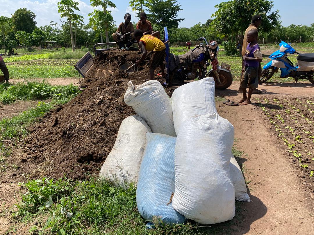 Déchargement à bord d’un tricycle des excréments composés de la bouse de vache. Photo de Mohamed Slem Camara pour Mongabay.