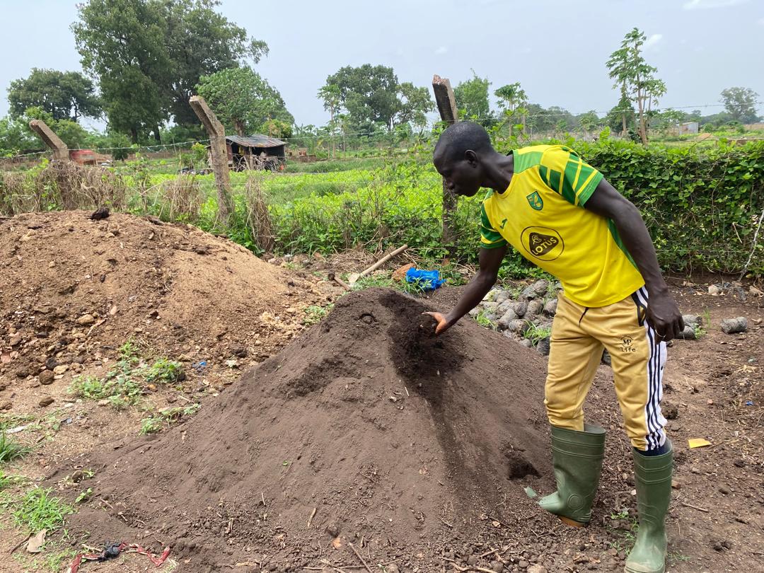 Mamadou Madi Camara, ingénieur agricole entrain de montrer les excréments de bœuf prêts à être utilisés (Compost). Photo de Mohamed Slem Camara pour Mongabay.