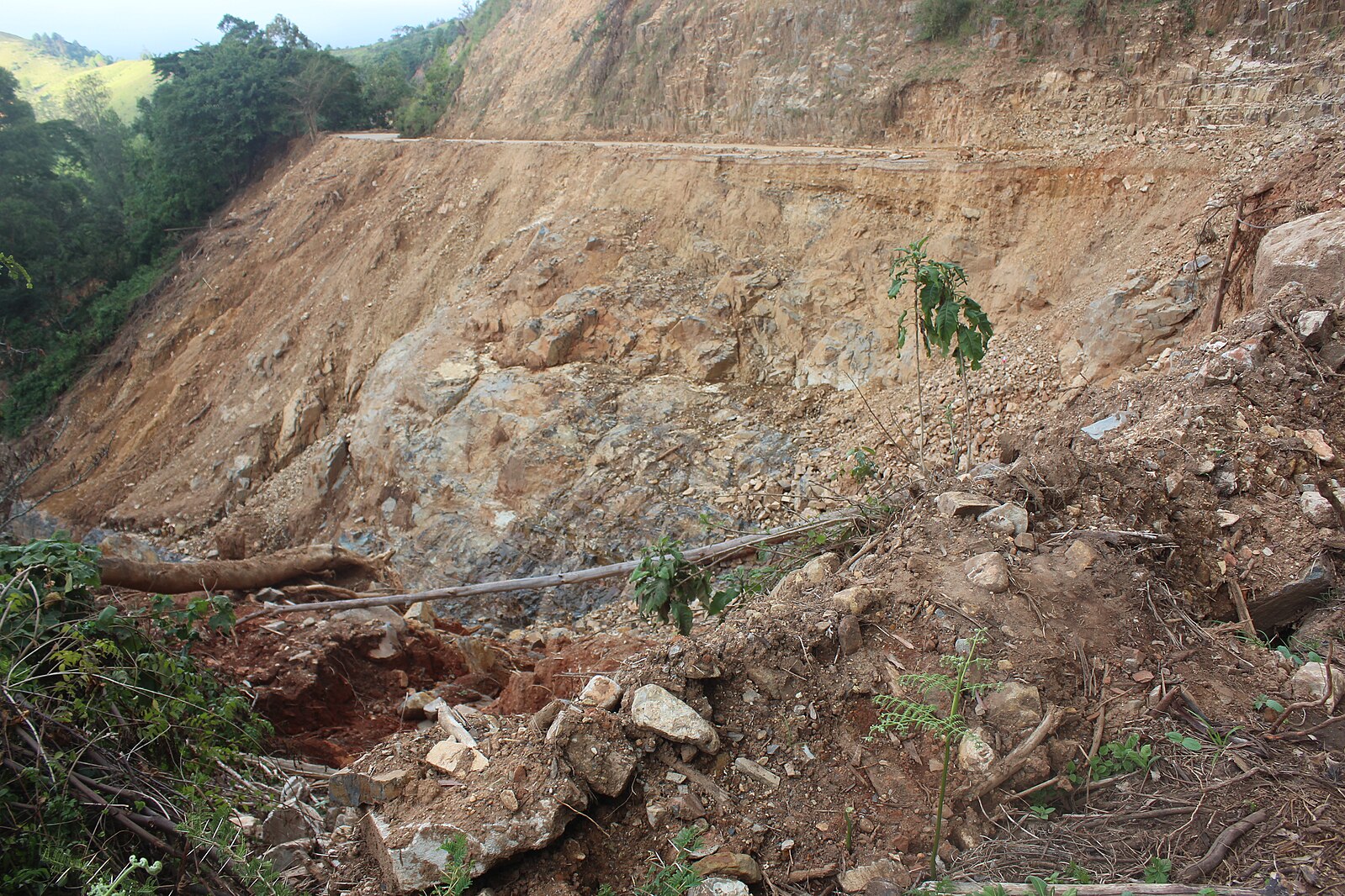 La route détruite utilisée par les sympathisants pour transporter de l'aide aux victimes du cyclone Idai à Chimanimani. Image de Manfidza via Wikimédia Commons (CC BY-SA 4.0)