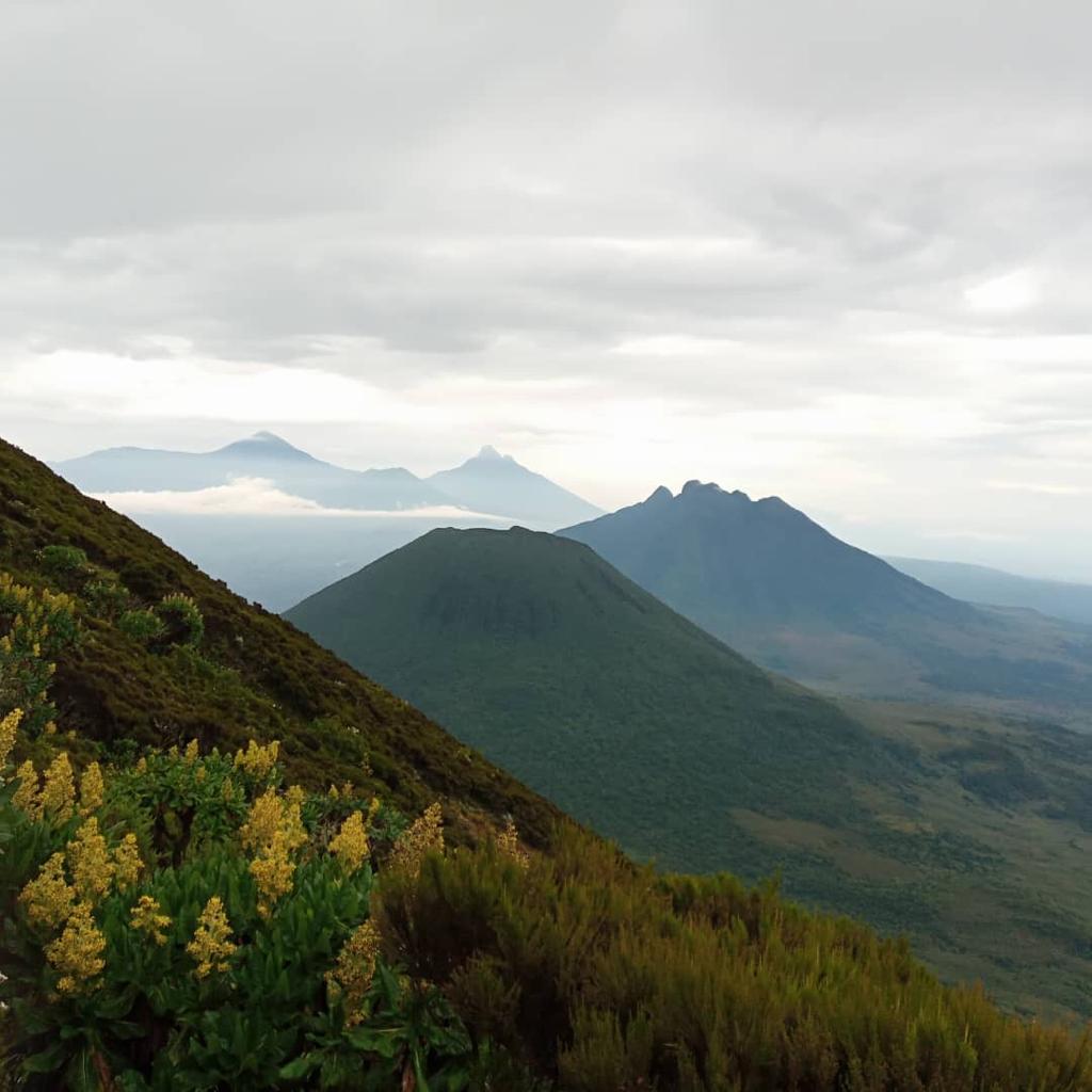 Le Parc national de Virunga englobe une région de nombreux volcans endormis et actifs. Image de Alvinategyeka via Wikimédia Commons (CC BY-SA 4.0).