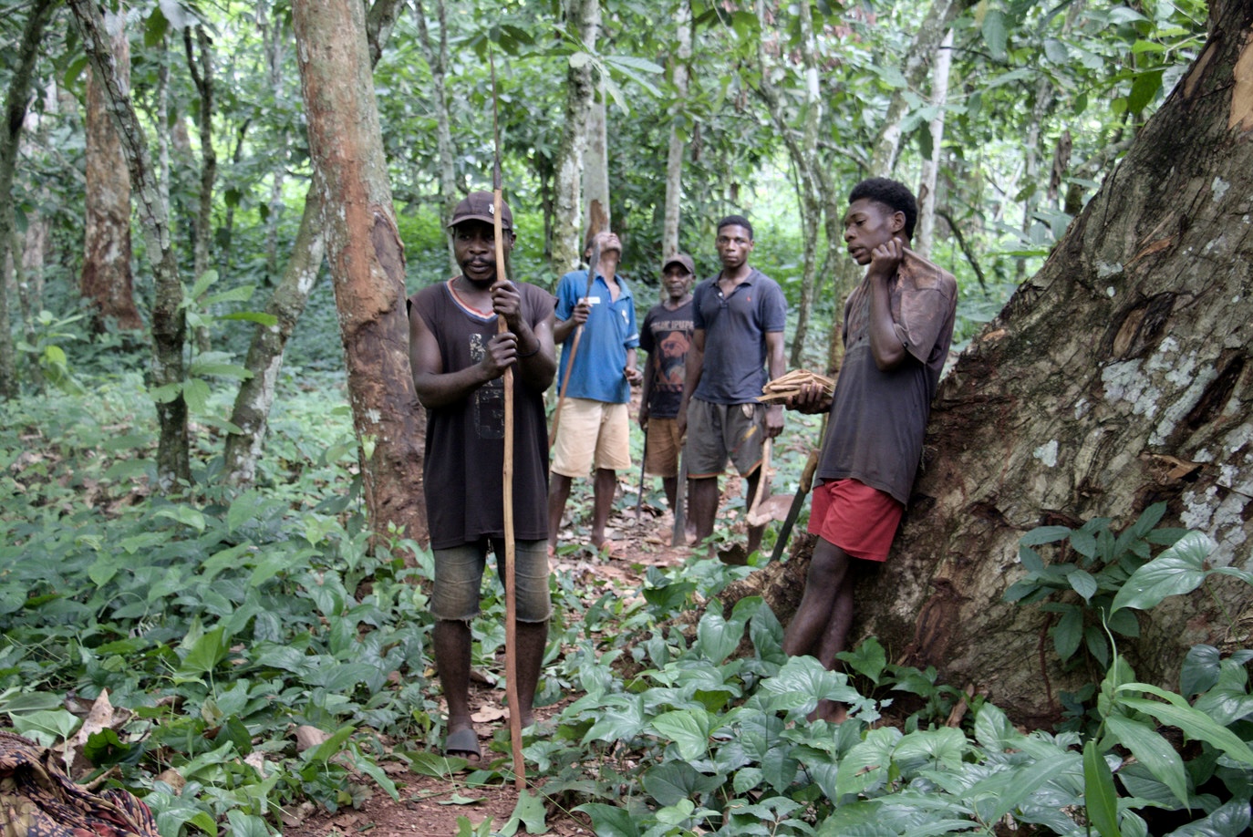 Des membres de la communauté Baka du village Yenga-Tengué menant des activités champêtres au Sud-est du Cameroun. Image de Yannick Kenné pour Mongabay.