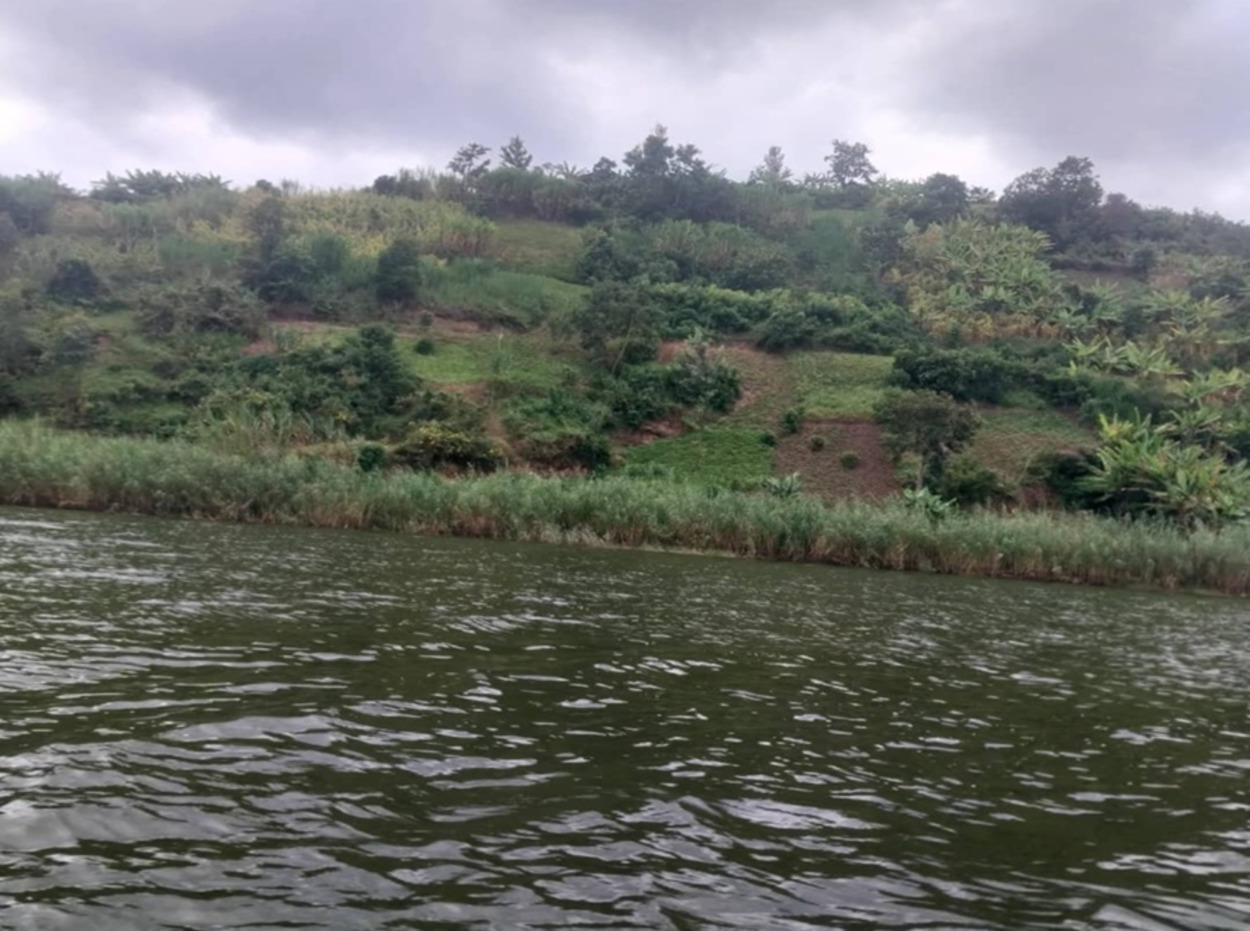 Les petites îles de la partie rwandaise du lac Kivu, comme Bugarura ont une riche biodiversité composée d’espèces végétales, d’oiseaux, d’invertébrés, de mammifères, de reptiles, d’amphibiens et de poissons. Image du Ministère de l’environnement Rwanda fournie par Aimable Twahirwa.