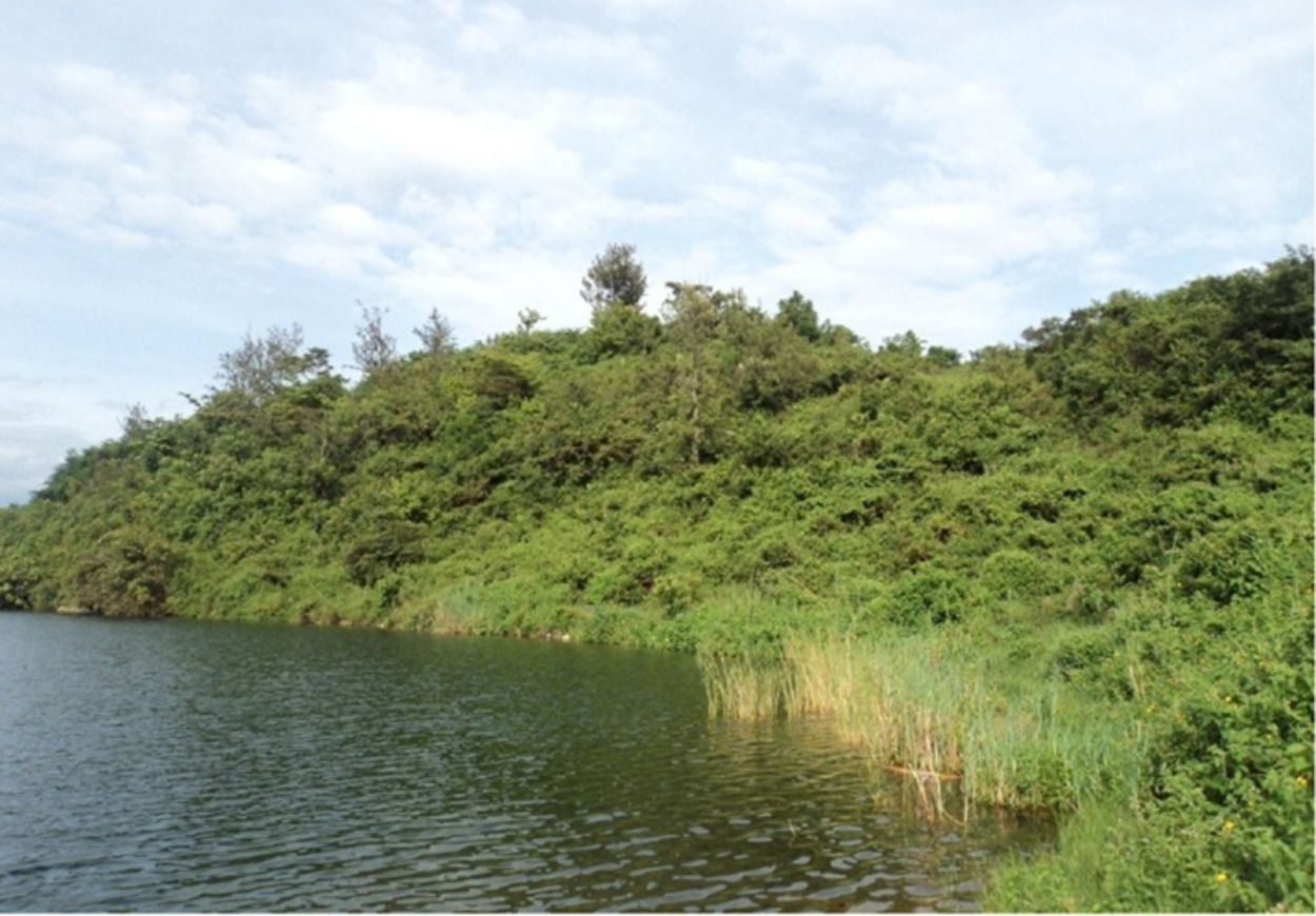 Les îles du lac Kivu comme Ishyute regorgent d’un potentiel écotouristique hautement exploitable qui peut contribuer à la sauvegarde des espèces en voie de disparition dans cette zone. Image de Rwanda Development Board fournie par Aimable Twahirwa.