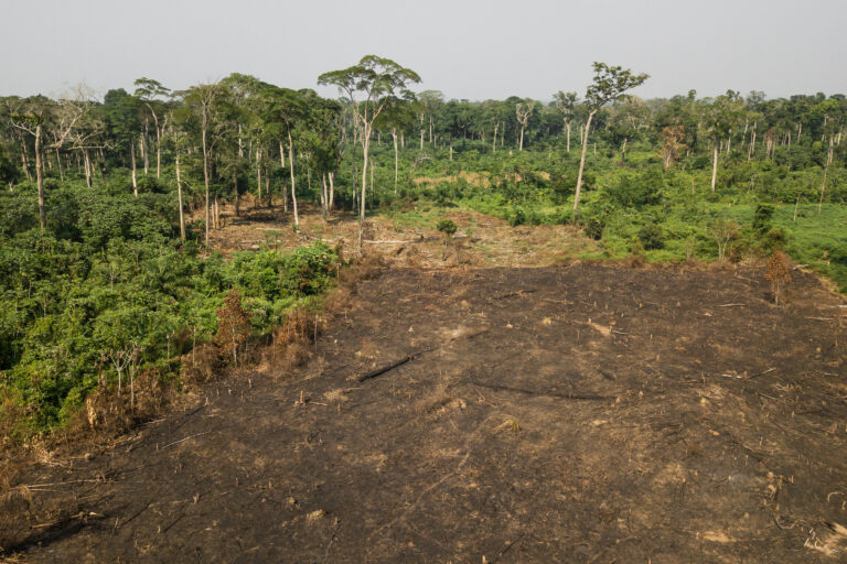 Déforestation près de Lieki, en République Démocratique du Congo. Image d’Axel Fassio/CIFOR via Flickr (CC BY-NC-ND 2.0).