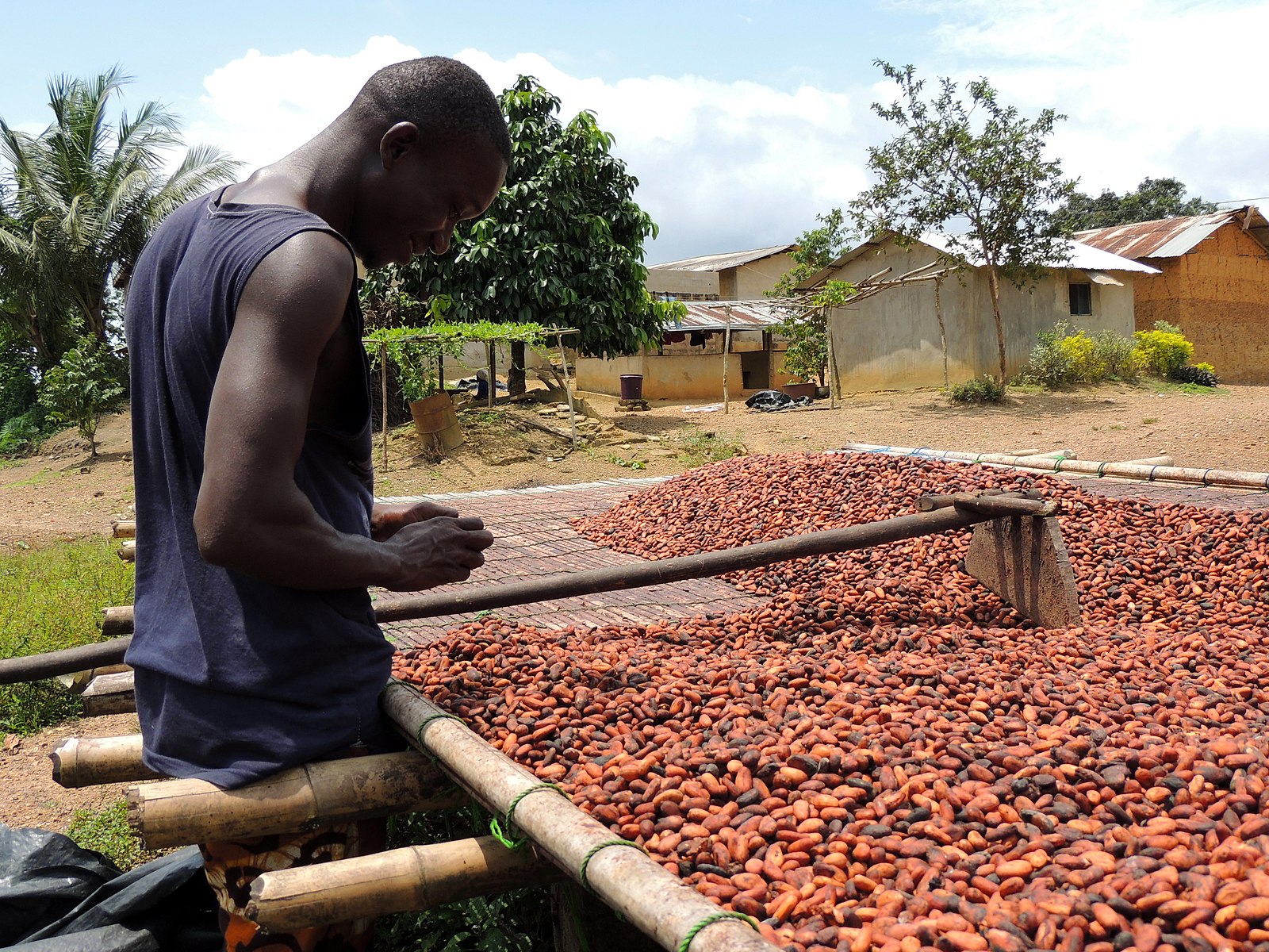 La conformité au RDUE s’est avérée particulièrement difficile pour les petits producteurs. Image de KokoDZ via Wikimédia Commons (CC BY-SA 4.0).
