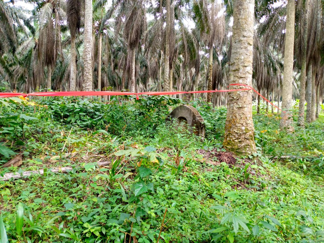 Une tombe ancestrale sous les palmiers de la Société camerounaise de palmeraies (SOCAPALM) dans la localité de Mbonjo, dans la région du Littoral au Cameroun. Image de l'ONG Synaparcam publiée avec l'aimable autorisation d'Emmanuel Elong.