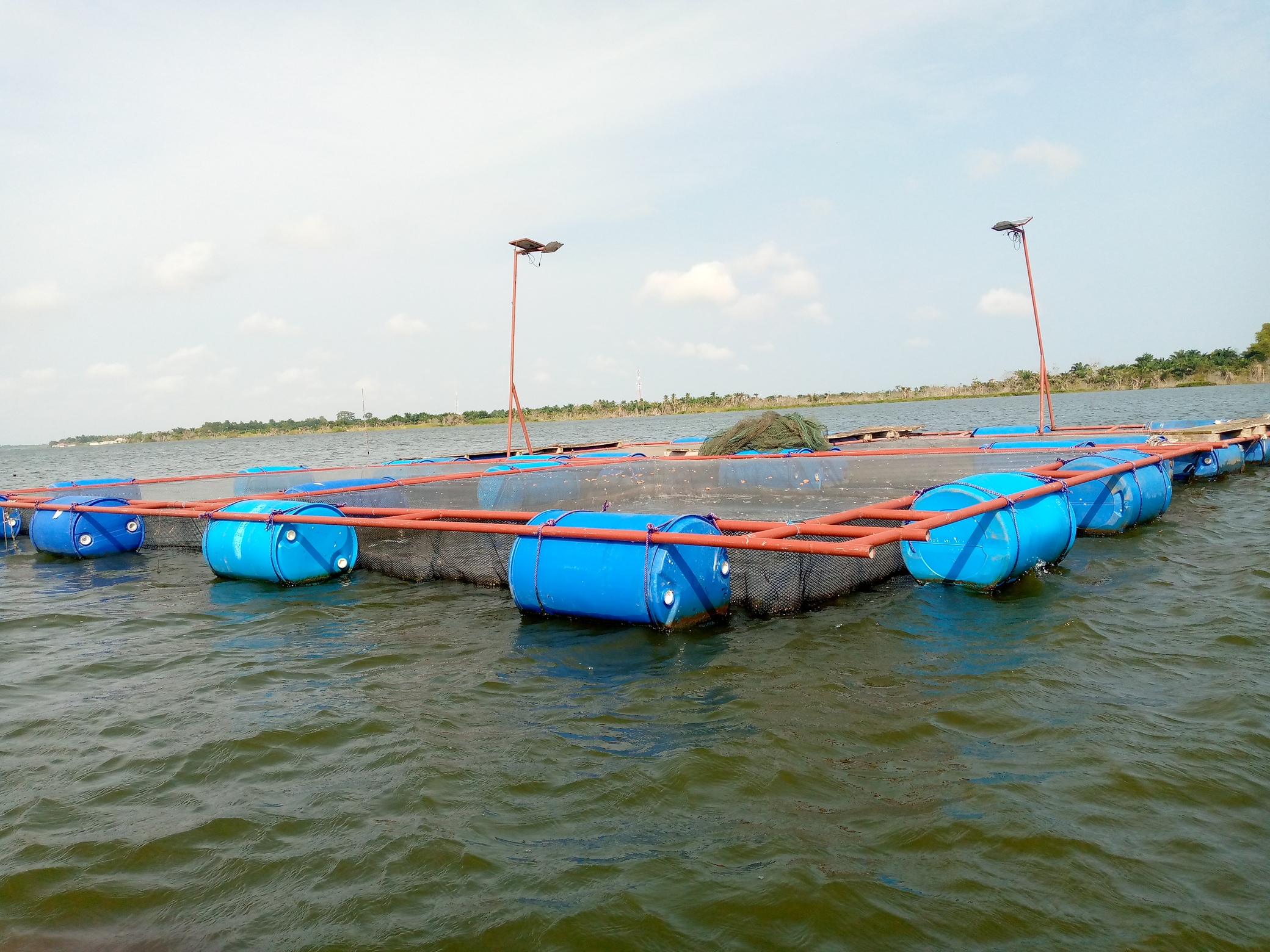 Des cages flottantes sur le lac Toho-Todougba au Bénin. Image de Patrice Soglo pour Mongabay.