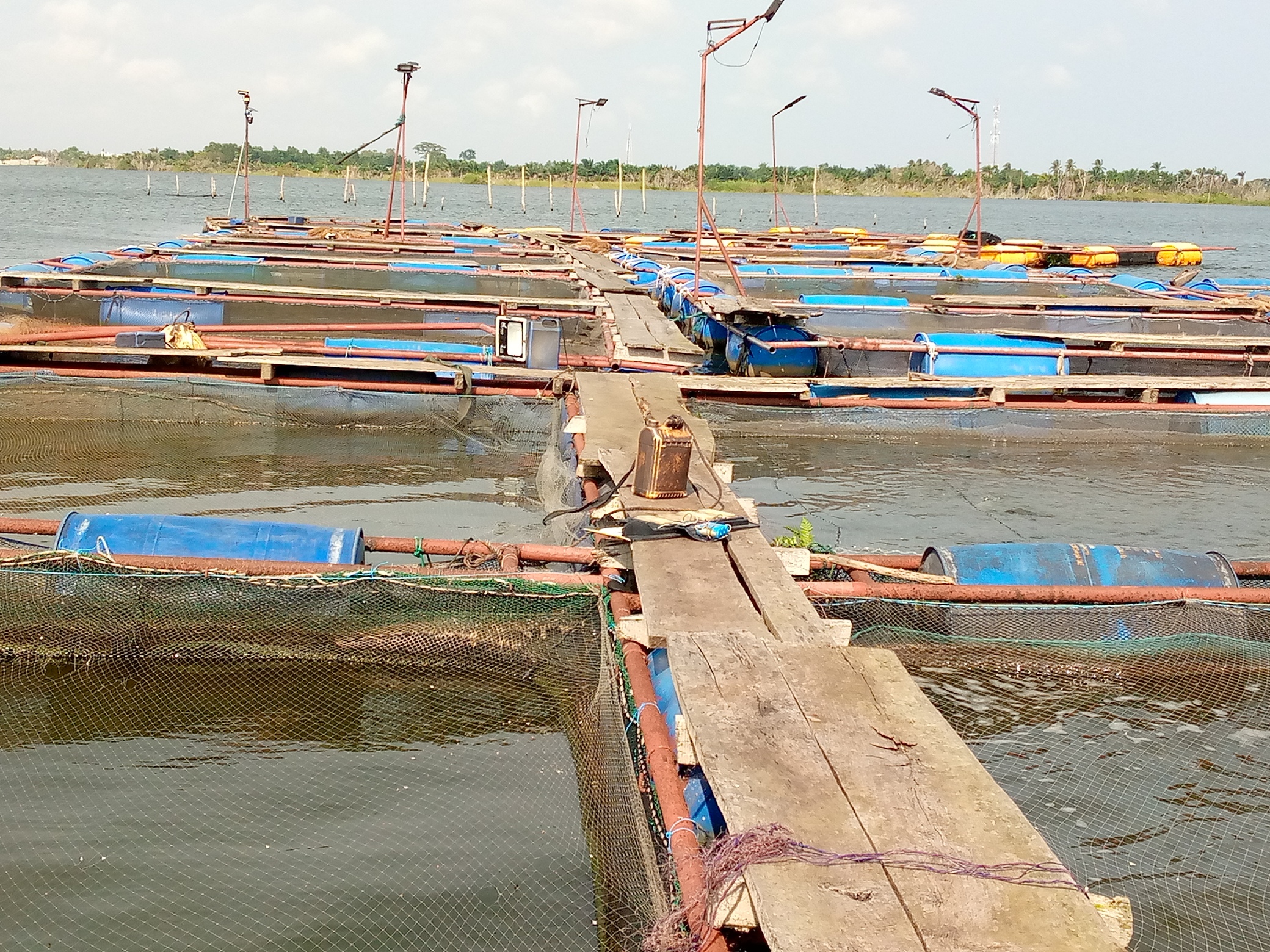 Dispositif des cages flottantes avec des filets à Ouessè dans la commune de Ouidah au sud du Bénin. Image de Patrice Soglo pour Mongabay.