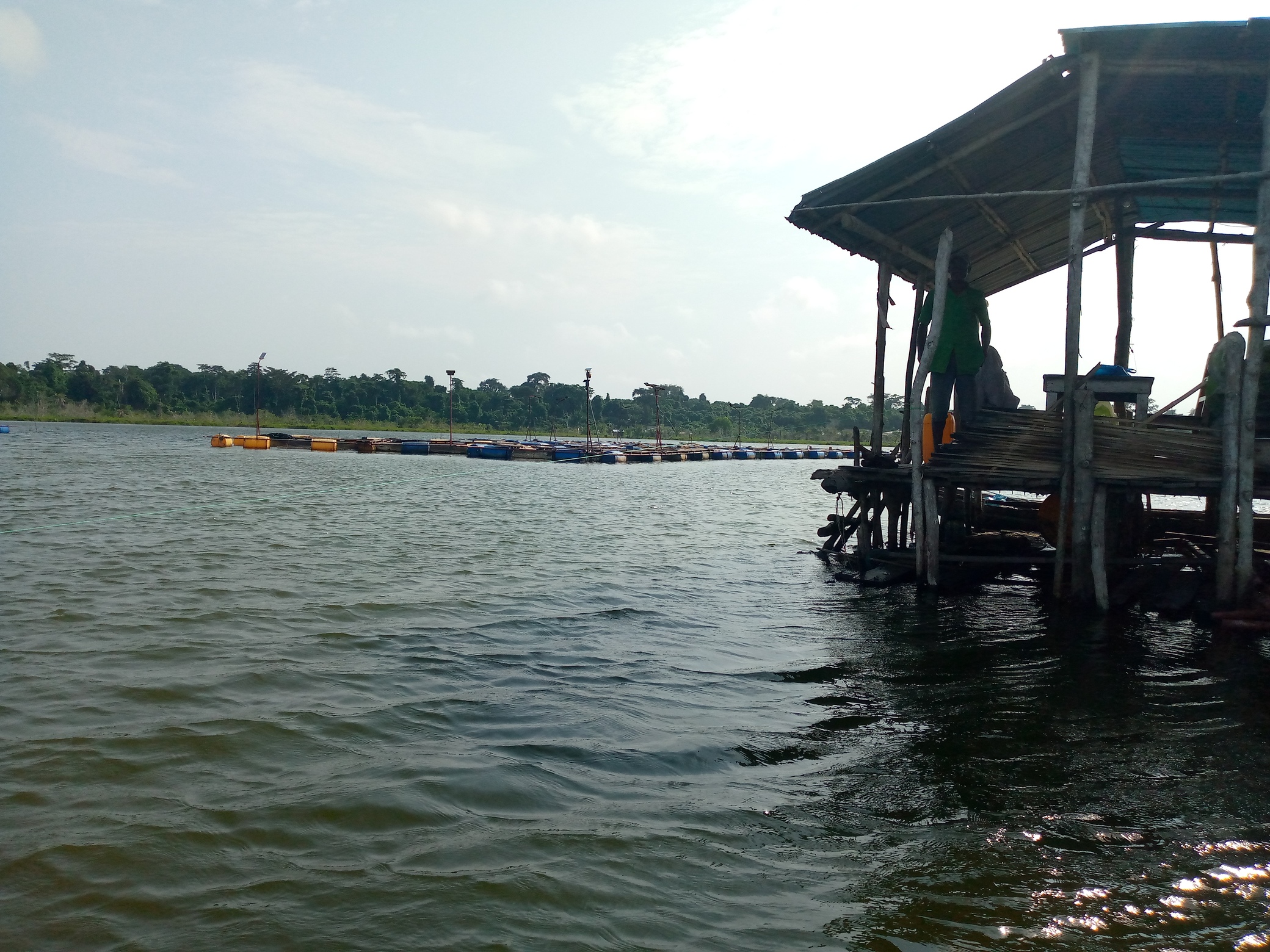 Une cabine de surveillance des cages flottantes sur le lac à Ouessè dans la commune de Ouidah au sud du Bénin. Image de Patrice Soglo pour Mongabay.