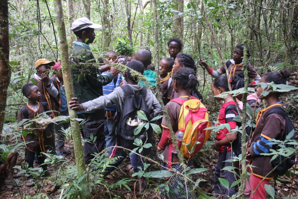 Des membres de la communauté (ici des écoliers) aux activités de conservation de la réserve de Maromizaha. Image de GERP fournie par Rivonala Razafison.
