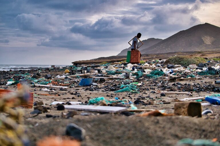 Vue d'une plage recouverte de déchets plastiques sur l'île de Santa Luzia, au Cap-Vert. La plupart des déchets proviennent de la pêche : filets, bouées, bouteilles en plastique… Les vents et les courants de l'Atlantique accumulent les déchets dans la partie nord de l'île. Image de CaptainDarwin via Wikimédia Commons (CC BY-SA 4.0).