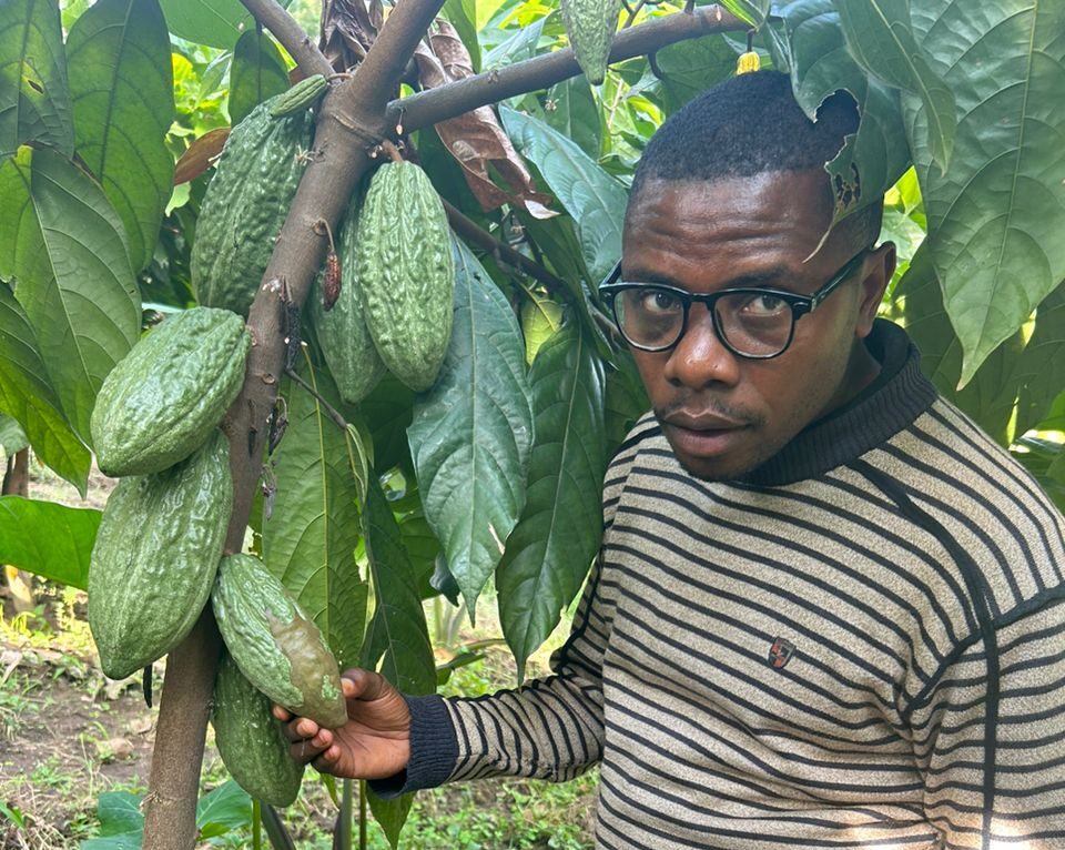 Un agriculteur dans son champ de cacao dans le Nord-Kivu, en RDC. Image de Gilbert Makelele, Société coopérative des producteurs novateurs du café du Kivu (SCPNCK), avec son aimable autorisation.