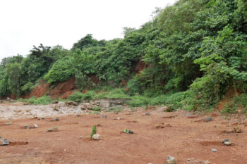 Destruction presque totale de la forêt d’Entag, l’une des dernières forêts classées de Conakry, ne couvrant aujourd’hui que 12 hectares contre 672 hectares à sa création en 1944,